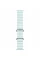 Apple Watch Ultra 2 49mm Natural Titanium Case with Ice Blue Ocean Band 2024